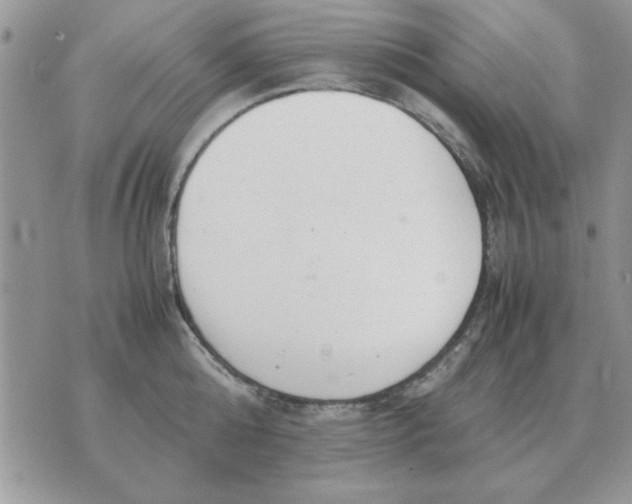 X0000070430808200606302125