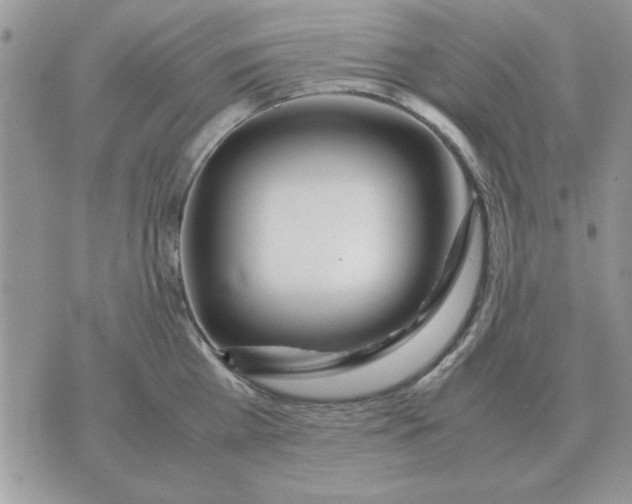 X0000070430809200606302125