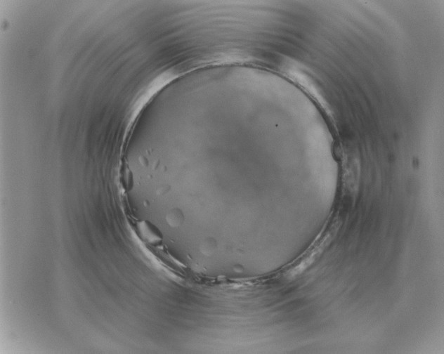 X0000070430810200606302125