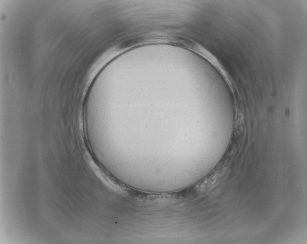 X0000070430811200606302125