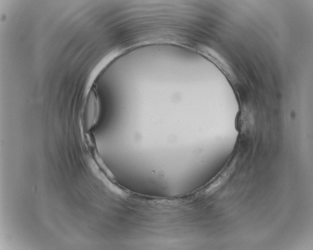 X0000070430812200606302125