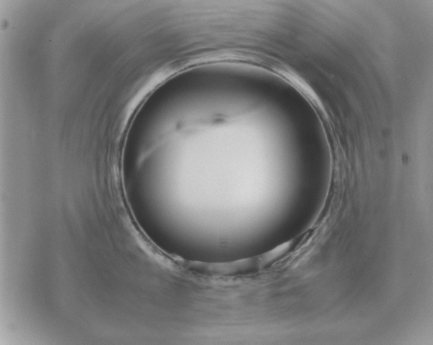 X0000070430813200606302125