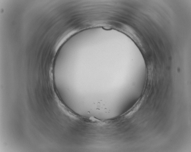 X0000070430814200606302125