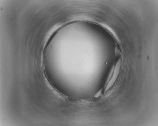 X0000070430815200606302124