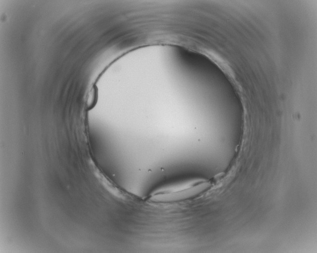 X0000070430816200606302124