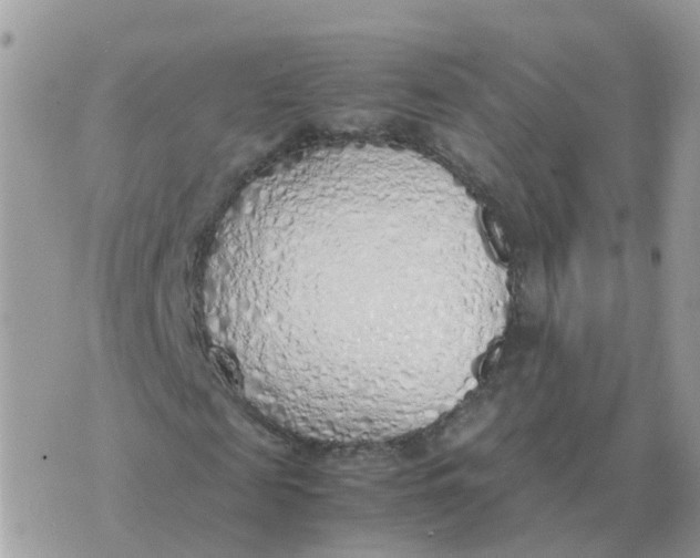 X0000070430817200606302124