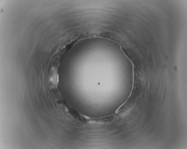 X0000070430818200606302124