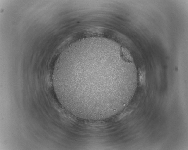 X0000070430819200606302124