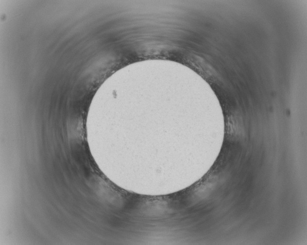 X0000070430820200606302124