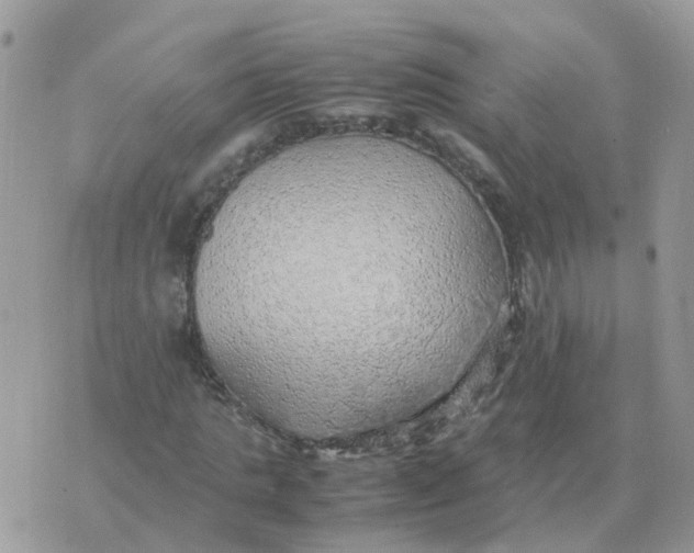 X0000070430821200606302124