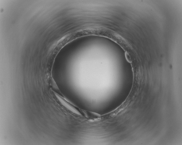 X0000070430822200606302124