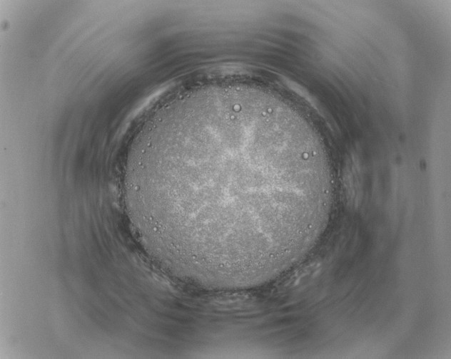 X0000070430823200606302124