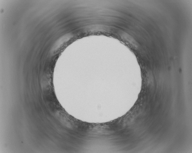 X0000070430824200606302124