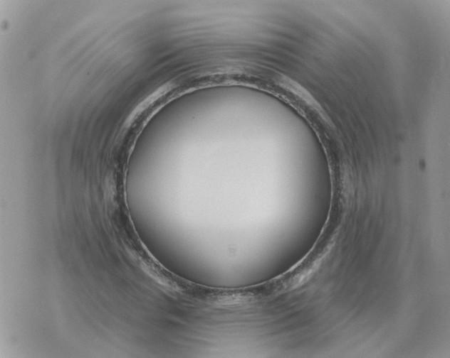 X0000070430826200606302124