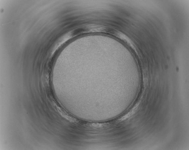 X0000070430827200606302124