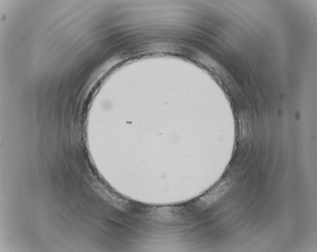 X0000070430828200606302124