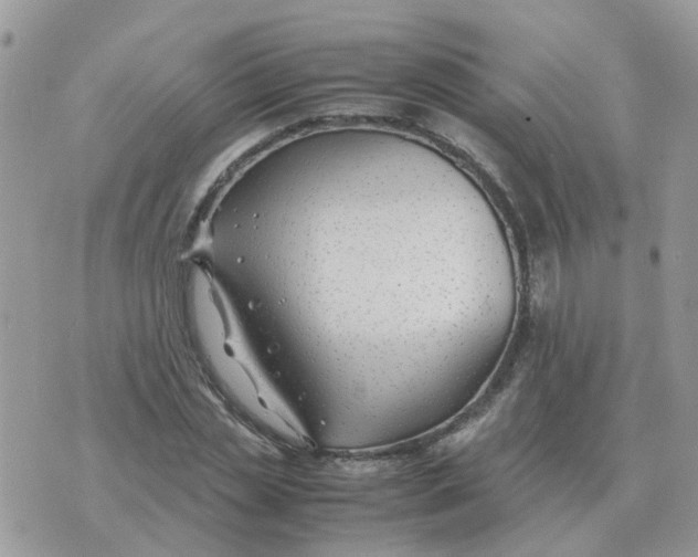 X0000070430829200606302124