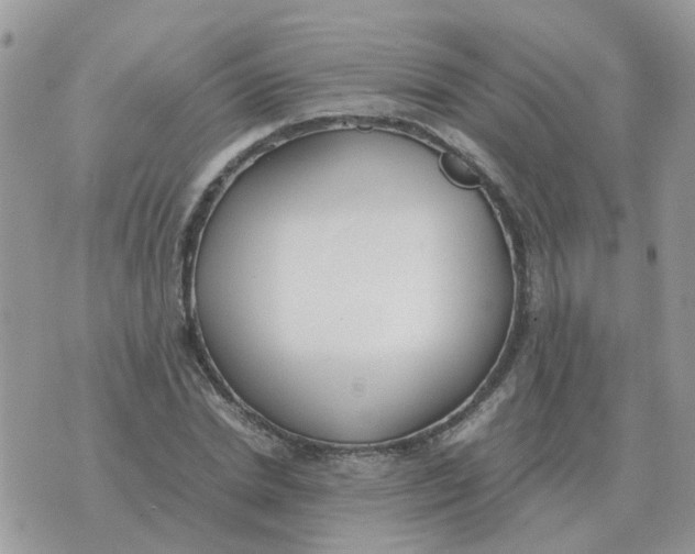 X0000070430830200606302124