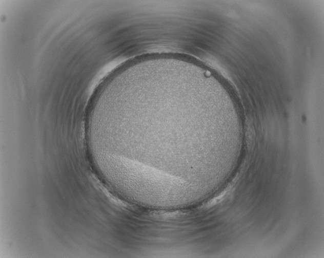 X0000070430831200606302124