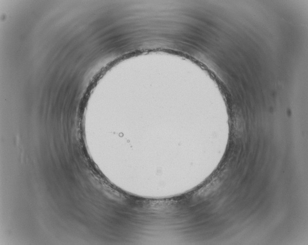 X0000070430832200606302124