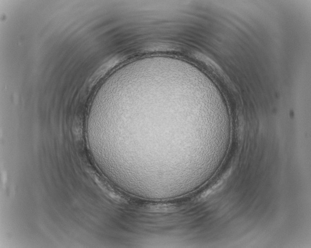 X0000070430833200606302124