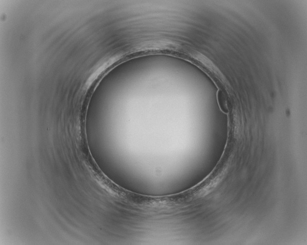 X0000070430834200606302124