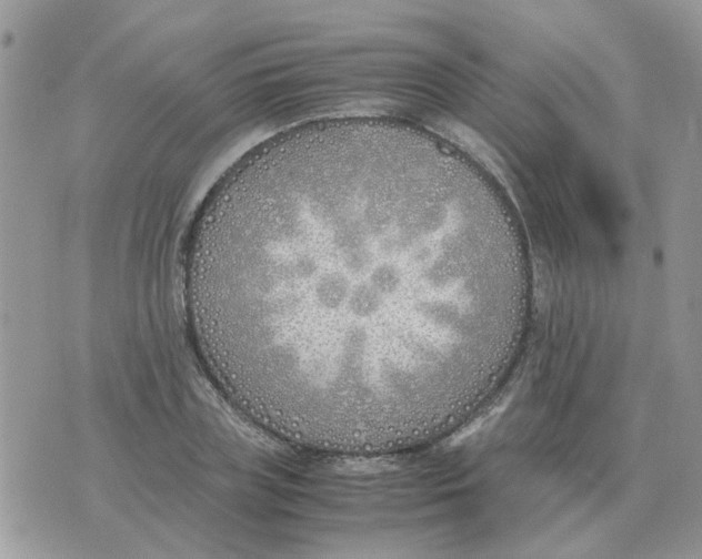 X0000070430835200606302124