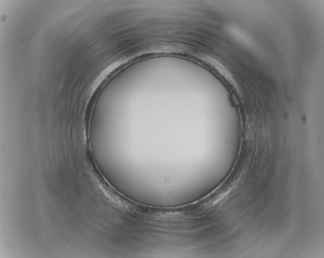 X0000070430837200606302124