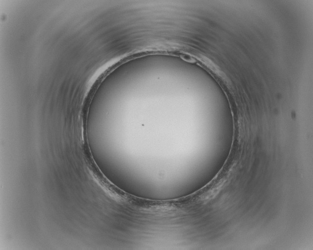 X0000070430838200606302124