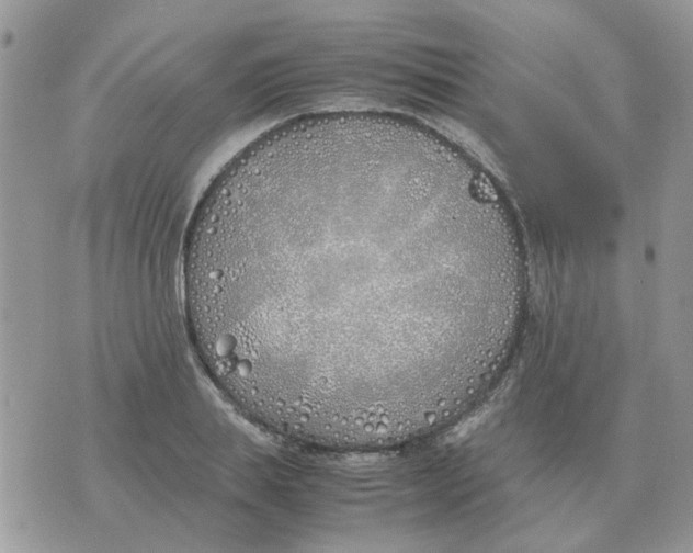 X0000070430839200606302124