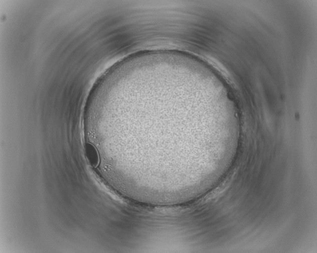 X0000070430840200606302124