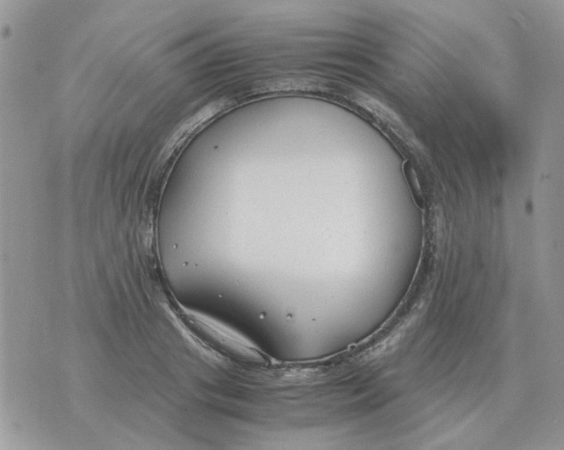 X0000070430841200606302124