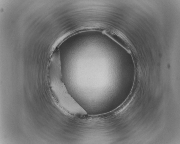 X0000070430842200606302124