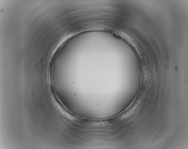 X0000070430843200606302124