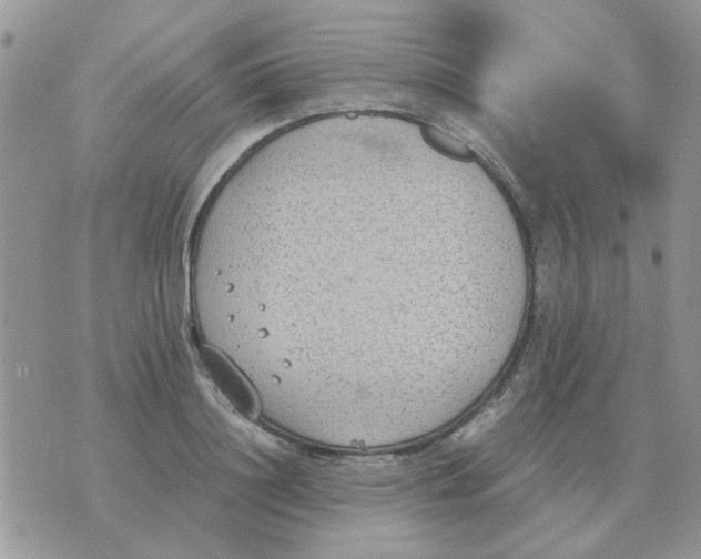 X0000070430844200606302124