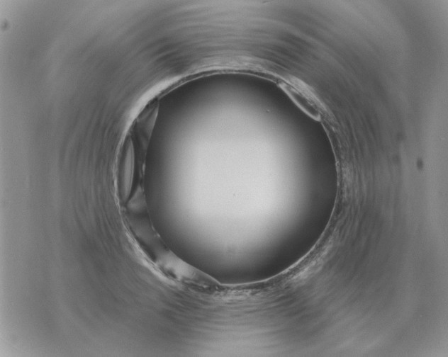 X0000070430846200606302124