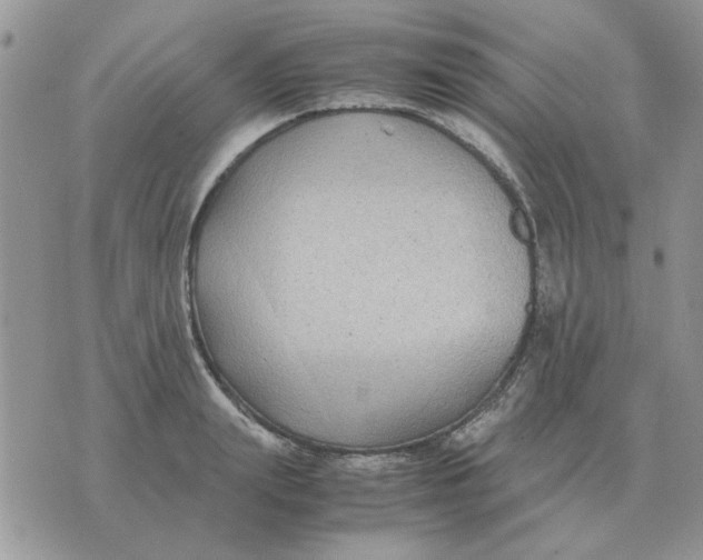 X0000070430847200606302124