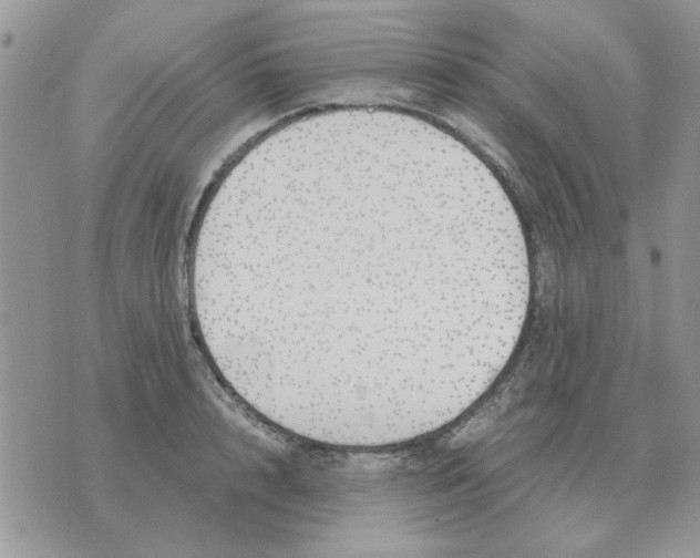 X0000070430848200606302124