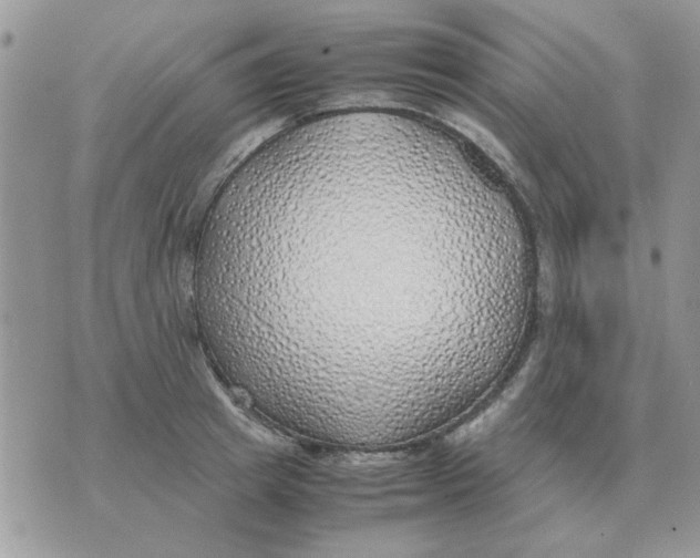 X0000070430849200606302124