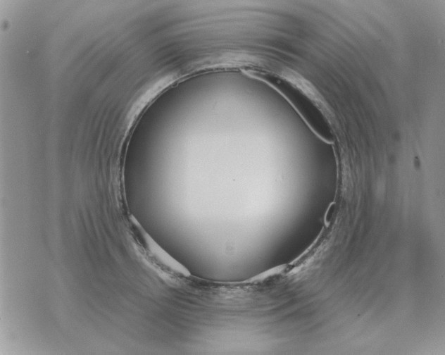 X0000070430850200606302124