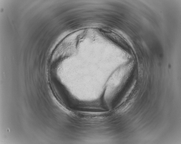 X0000070430851200606302124