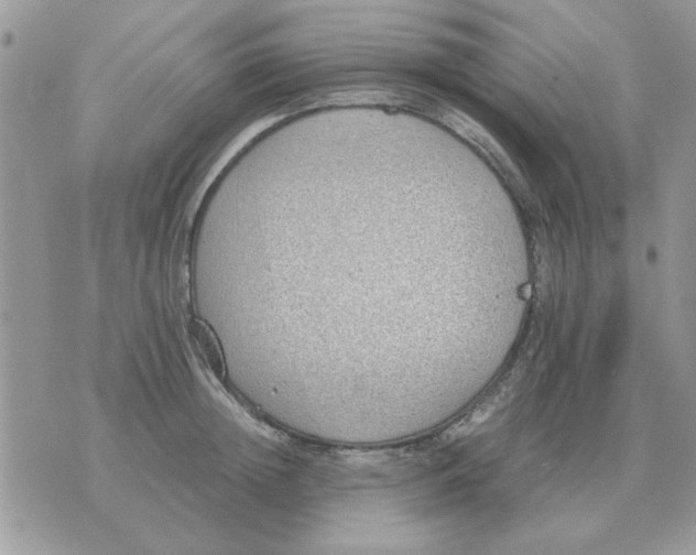 X0000070430852200606302124