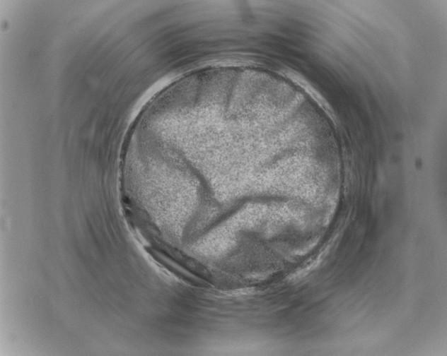 X0000070430853200606302124