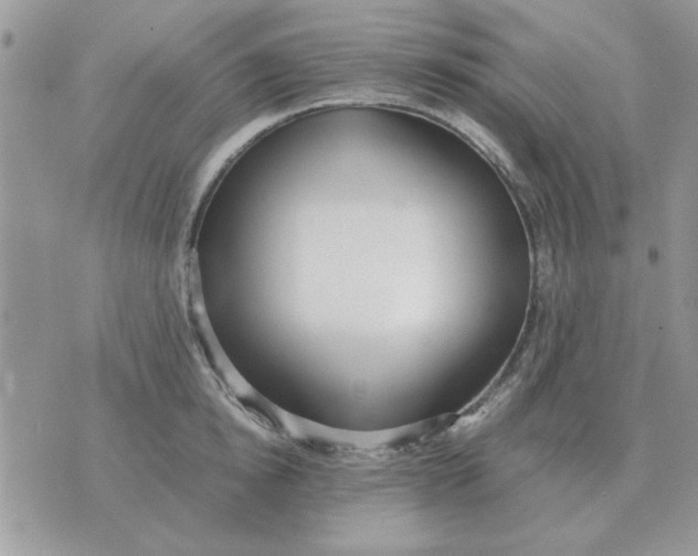 X0000070430854200606302124