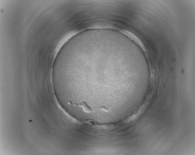 X0000070430855200606302124