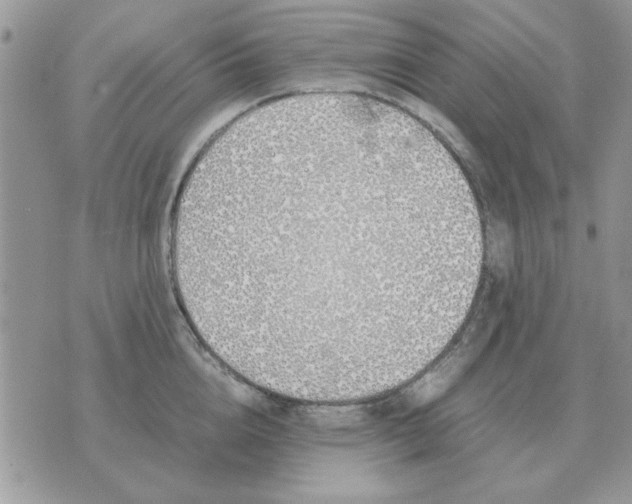 X0000070430856200606302124