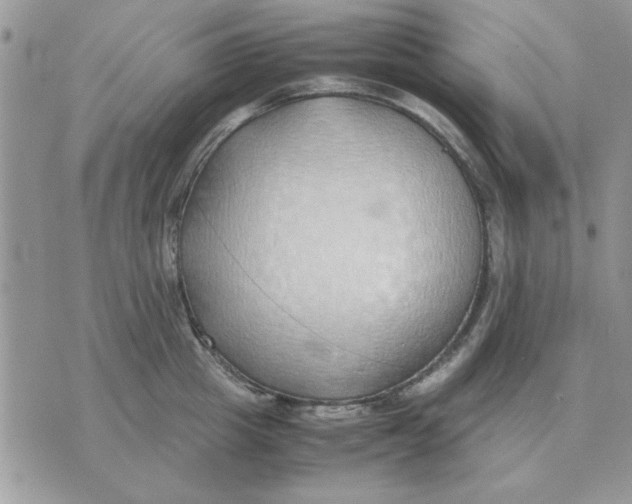 X0000070430857200606302124