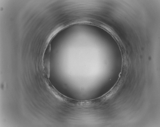 X0000070430858200606302124