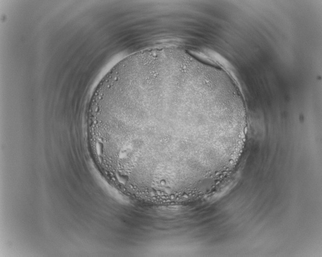 X0000070430859200606302124