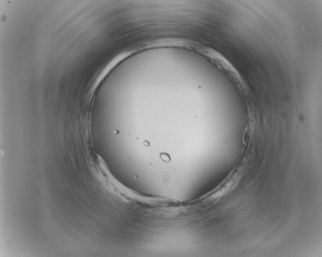 X0000070430860200606302124